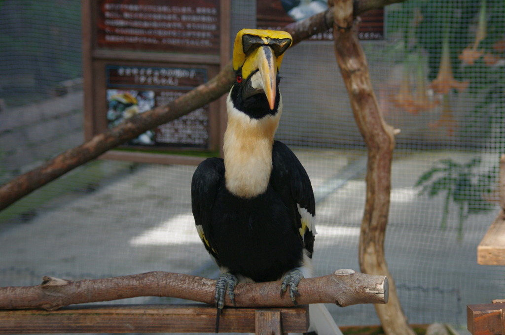神戸花鳥園１０