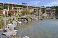 池に架かる橋