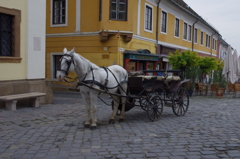 センテンドレで７