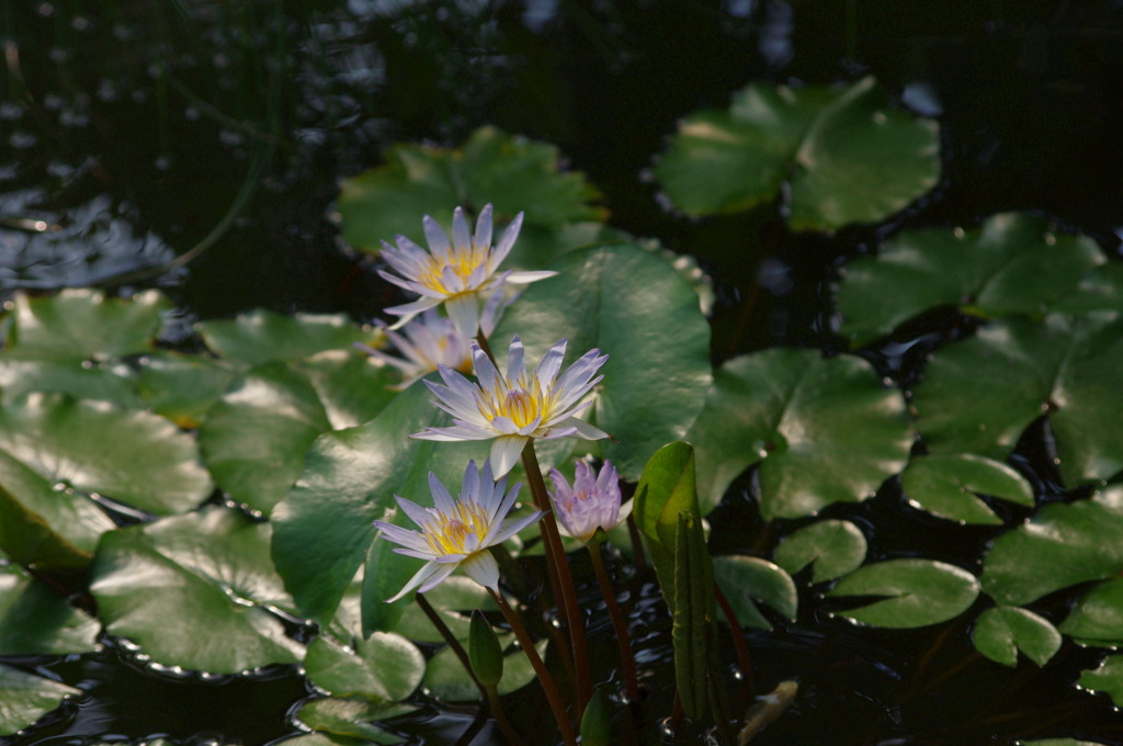 神戸花鳥園２０
