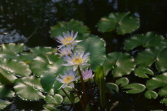 神戸花鳥園２０