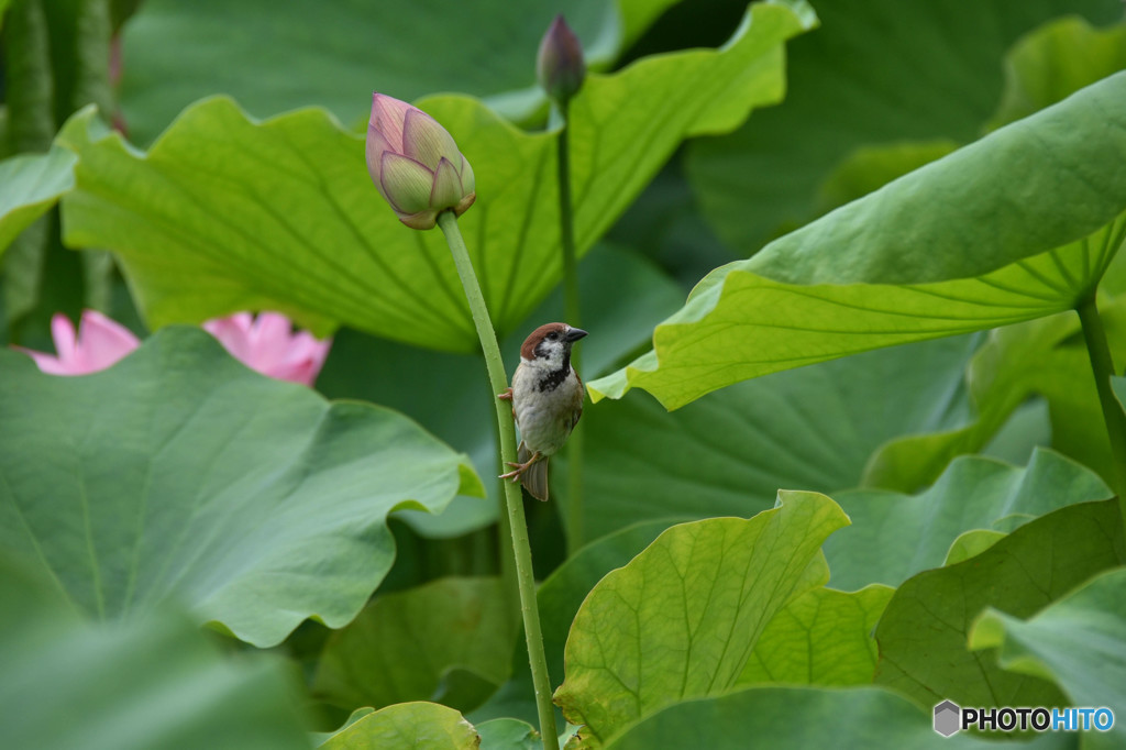 次はどこへ？