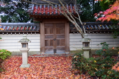 秋篠寺にて２