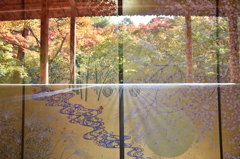 紅葉のillusion
