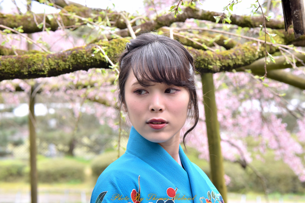 桜とお気に入りのモデルさん