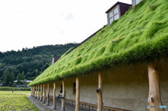 水が流れる芝の屋根