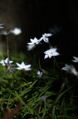 20130407_103904