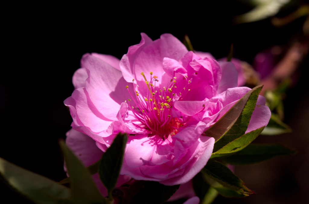 20130319_115136