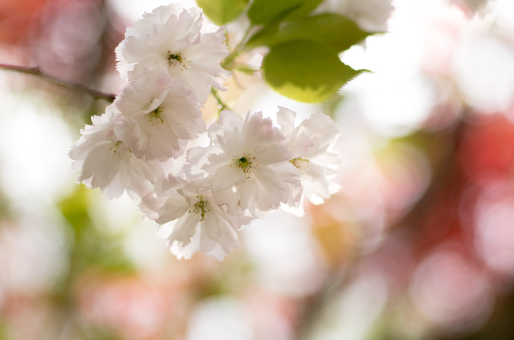 20130427113545