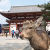 奈良旅行