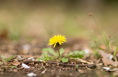 20130406_100535