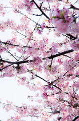 20130319_110537