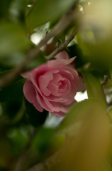 20130303_110857