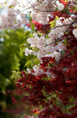 20130427111111