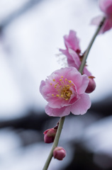 20130303_104142
