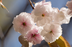 20130413_142916