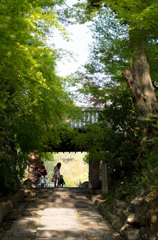 20130426164245