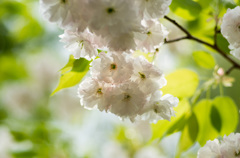 20130427114526