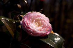 20130319_113917