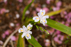 20130406_100731