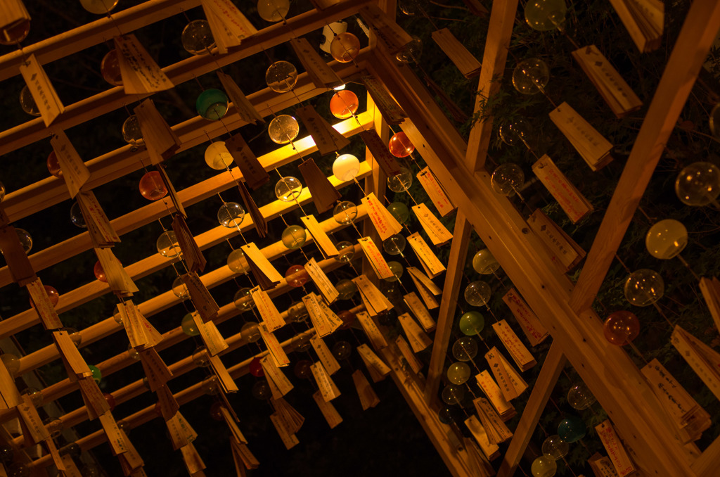 20140822_20-15-07[31 mm]
