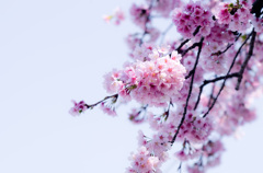 20130319_111357