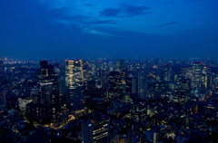 トーキョータワーからの夜景