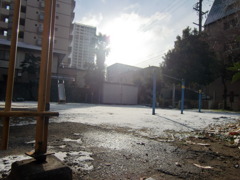 2011_0116画像0004