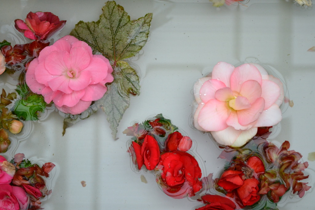 水と花