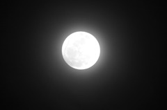 今夜の月