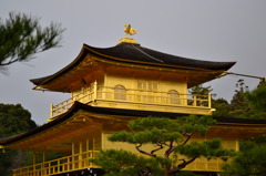 金閣寺