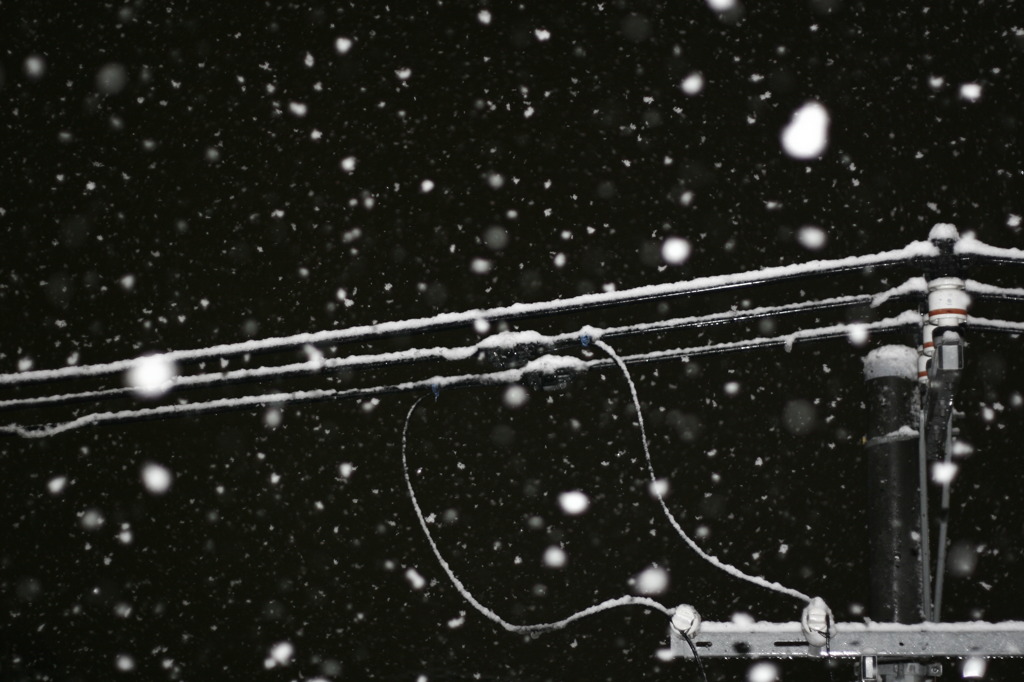 snow!snow!!02