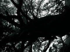 R0010420