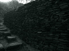 R0010663
