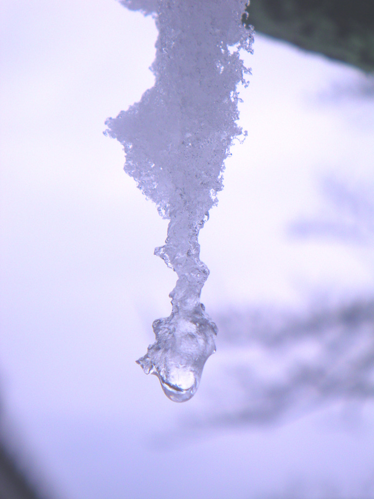雪解けの一瞬間