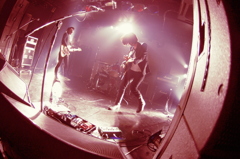 the butterfly nine cord