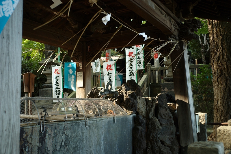 諏方神社