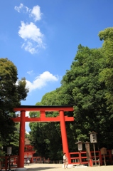 下鴨神社の夏