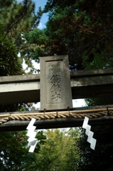谷中　諏方神社