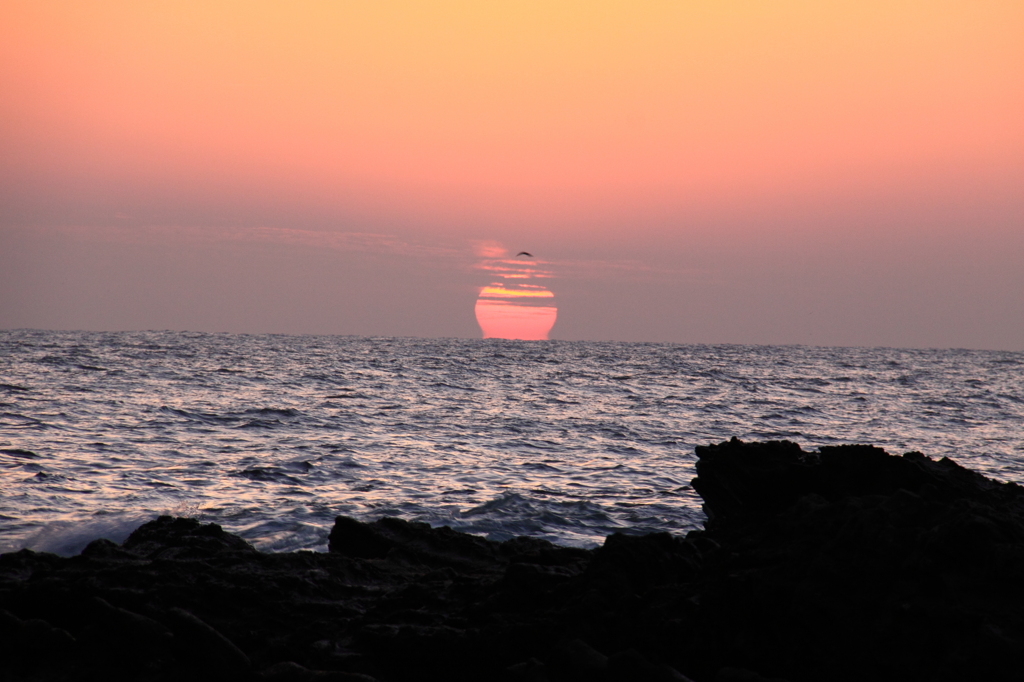 沈まぬ太陽