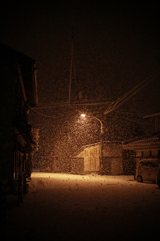 新雪の静寂