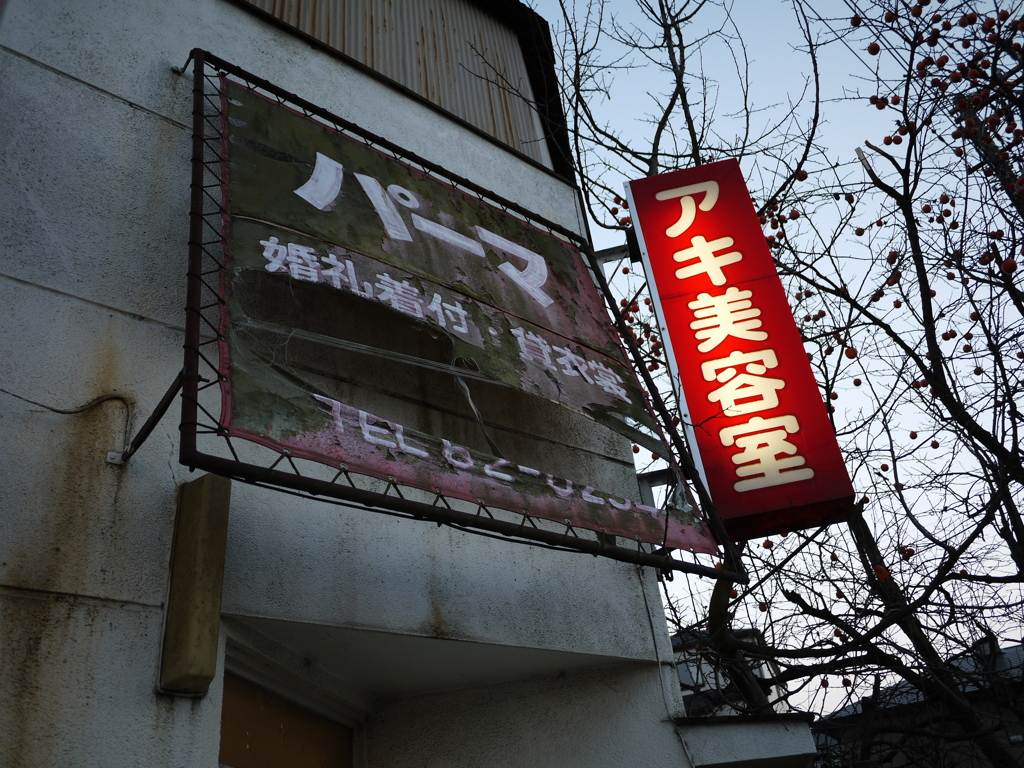 現役