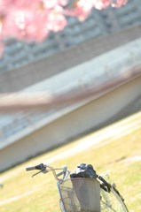 君と、どこまでも