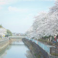 このまま
