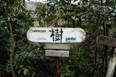樹