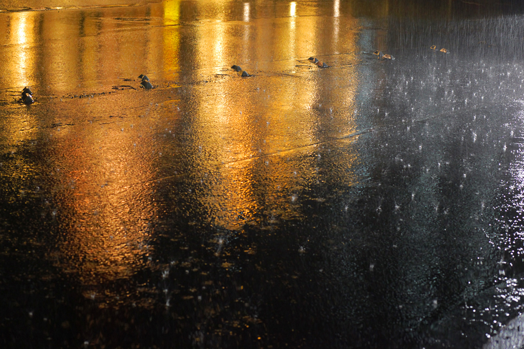 雨音
