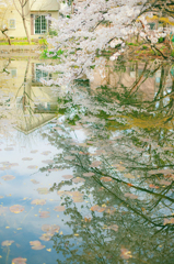 景色の