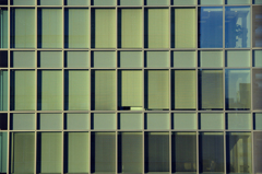 window