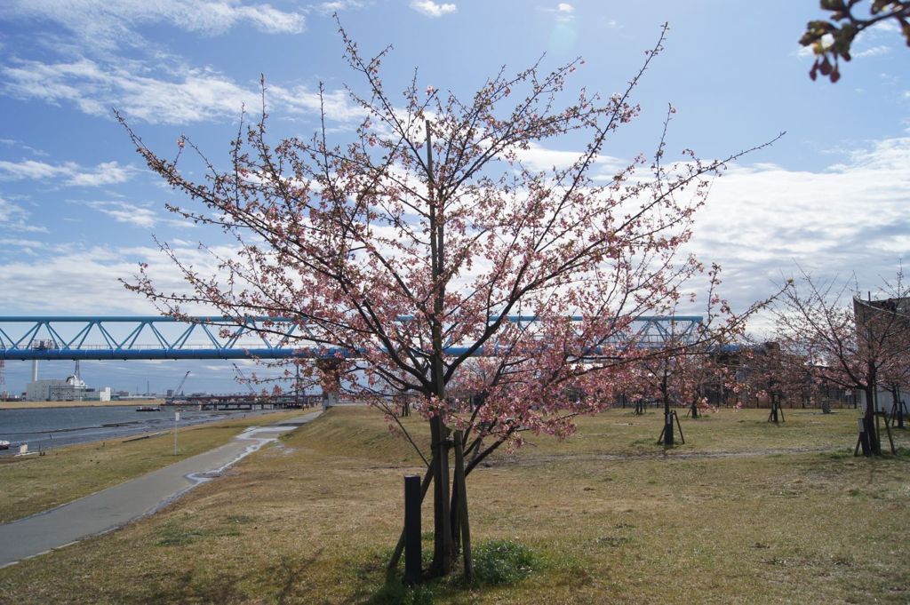 顛