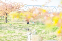 春待ち